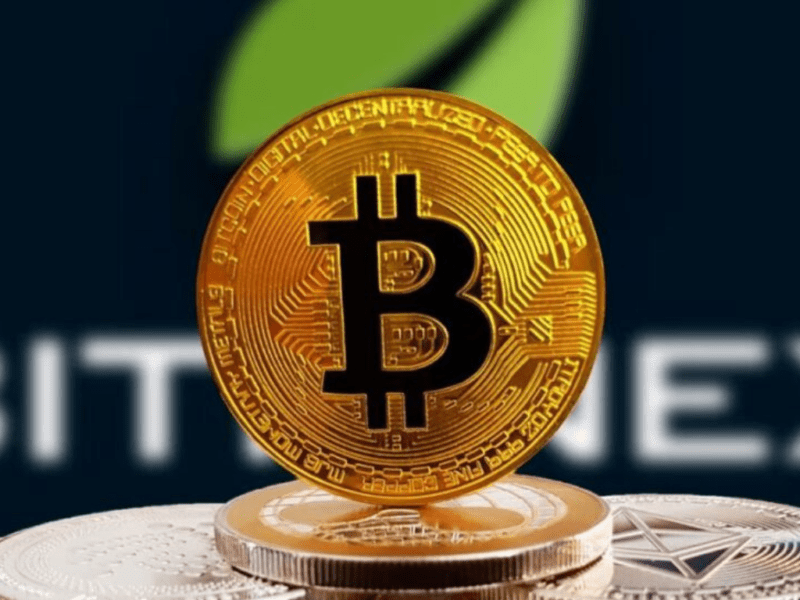 Crypto30x.com Ocean’s